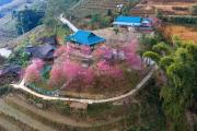 Top Mù Cang Chải