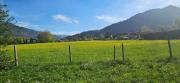 Top Rottach-Egern