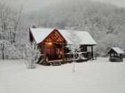 Top Borlova Top Borlova