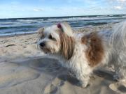 Top Ostseebad Sellin