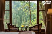 Top Shimla