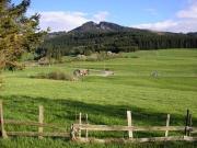 Top Nesselwang