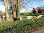 Top Langlingen