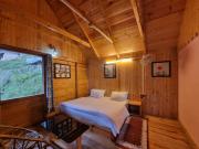 Top Dalhousie