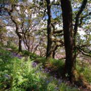 Top Pembrokeshire