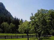 Top Sankt Martin bei Lofer