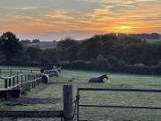 Top Salisbury