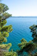 Top Marusici