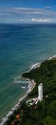 Top Las Palmeras