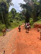 Top Middlesex