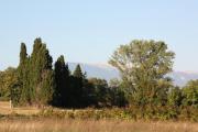 Top Pernes-les-Fontaines