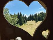 Top Srednja Vas v Bohinju
