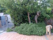 Wellness Room Trasimeno Lake