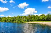 Top Tobyhanna