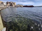 Top Piombino