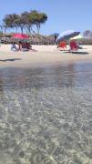 Top Piombino