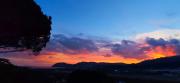 Top Campo nell'Elba