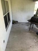 Top Palm Coast