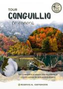 Top Cunco