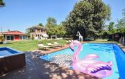 Top Rosolina