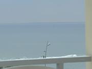 Top Borkum