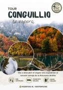 Top Cunco