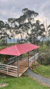 Top Pereira