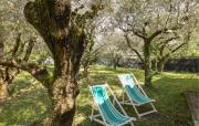 Top Camaiore
