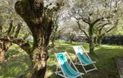 Top Camaiore
