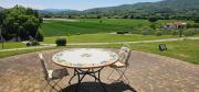 Top Todi