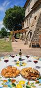 Top Todi