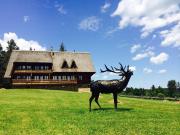 Top Trójca Top Trójca