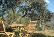 Top Comares
