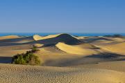 Top Maspalomas