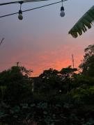 Top Xuân Sơn