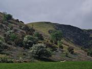 Top Llanymawddwy Top Llanymawddwy