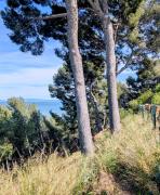 Top Istres Top Istres