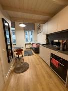 Modern Loft with Mezzanine in Riga Center