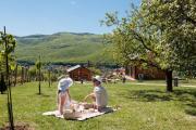 Top Miskolc Top Miskolc