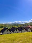 Top Solina