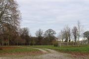 Top Swettenham