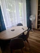 Top Konin