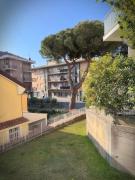 Top Ceriale