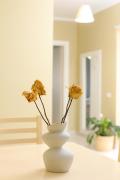 SeaRise Apartments