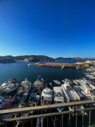 Top Ponza