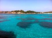 Top Palau