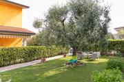 Top Lazise