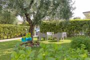 Top Lazise