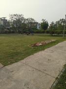 Top Mohali Top Mohali
