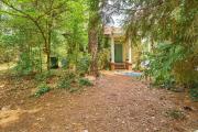Top Southern Pines